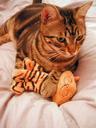 cat_doll.jpg